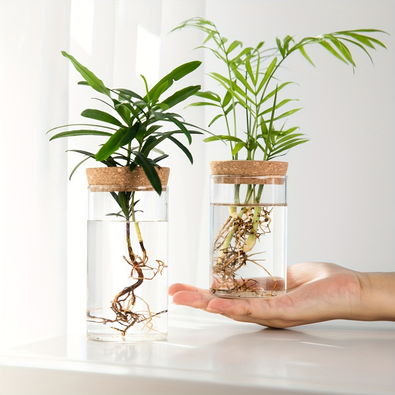1pc, Hydroponics Plants Deskto - Eufy Camera S340 评论和价格