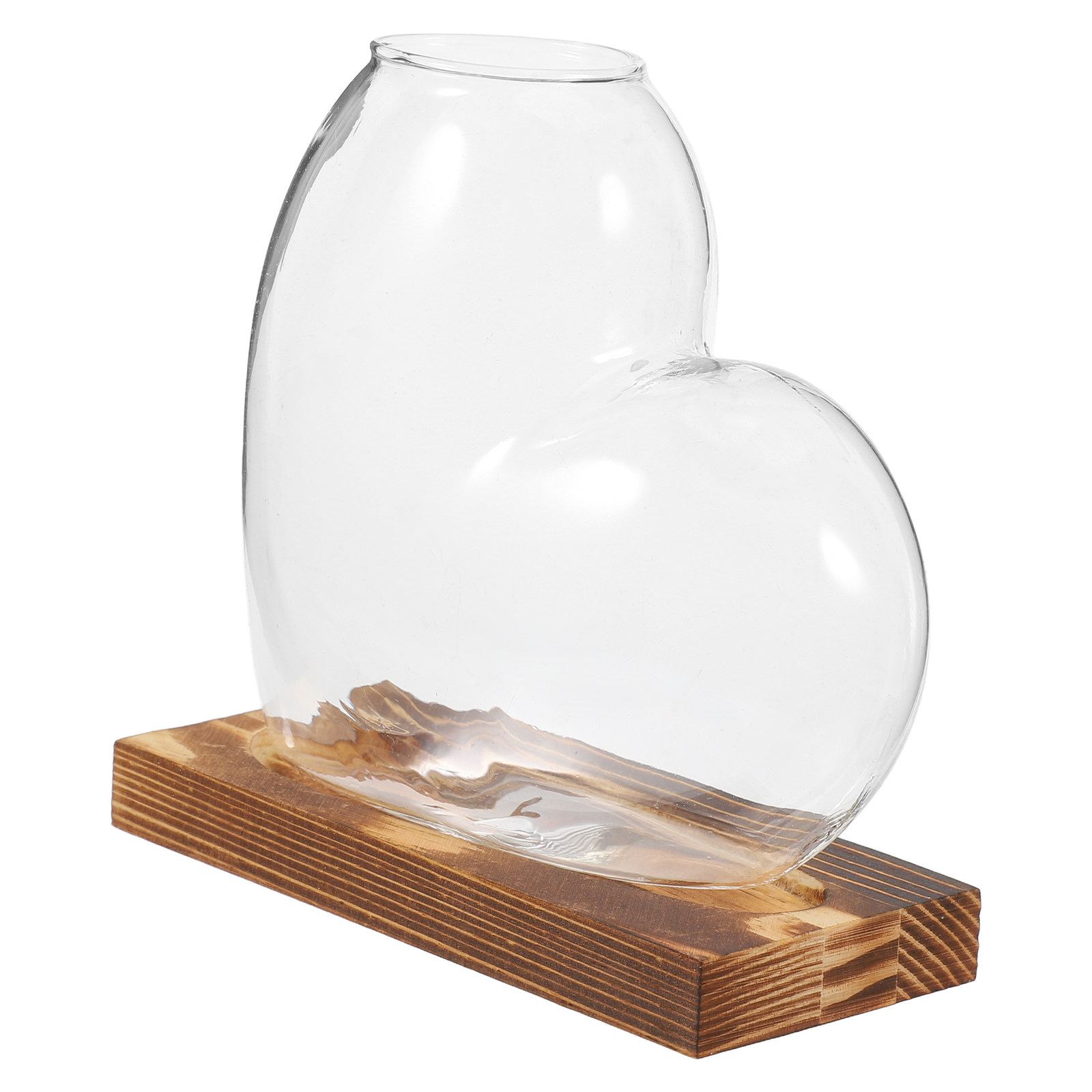 Hydroponic Glass Vase Transpar - Propagation Station Vase 评论和价格