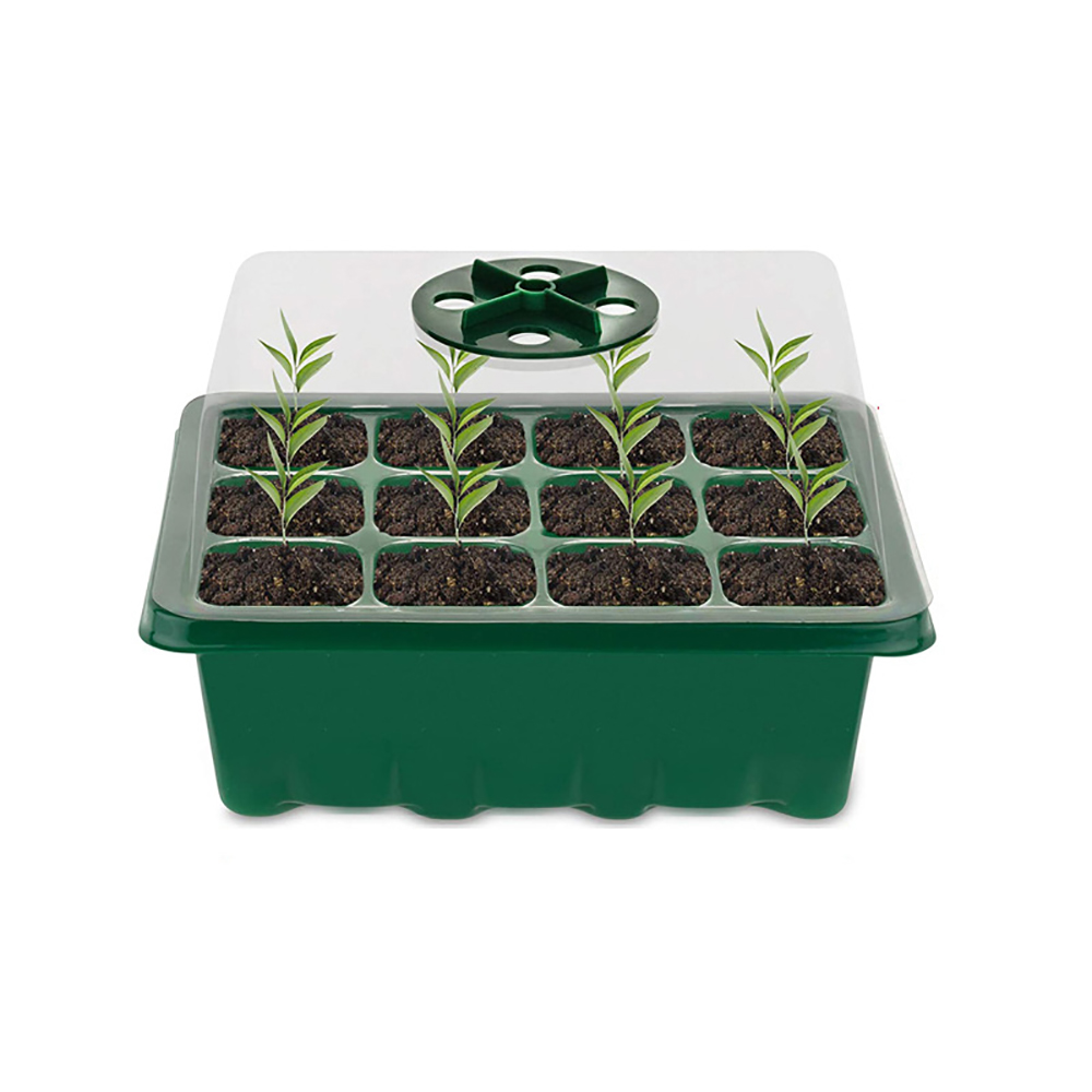Seed Starter Trays with Grow L - Amazon Speaker Echo Dot 5 评论和价格