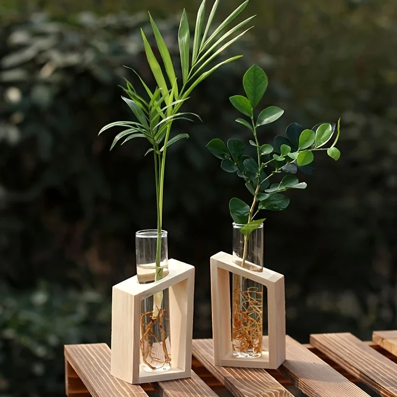 Test Tube Glass Vase Plant Pro - Amazon Speaker Echo Dot 5 评论和价格