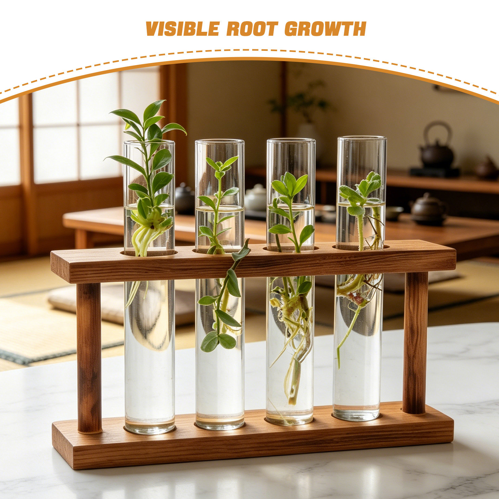 Wood Stand Plant Propagation S - Propagation Station Vase 评论和价格