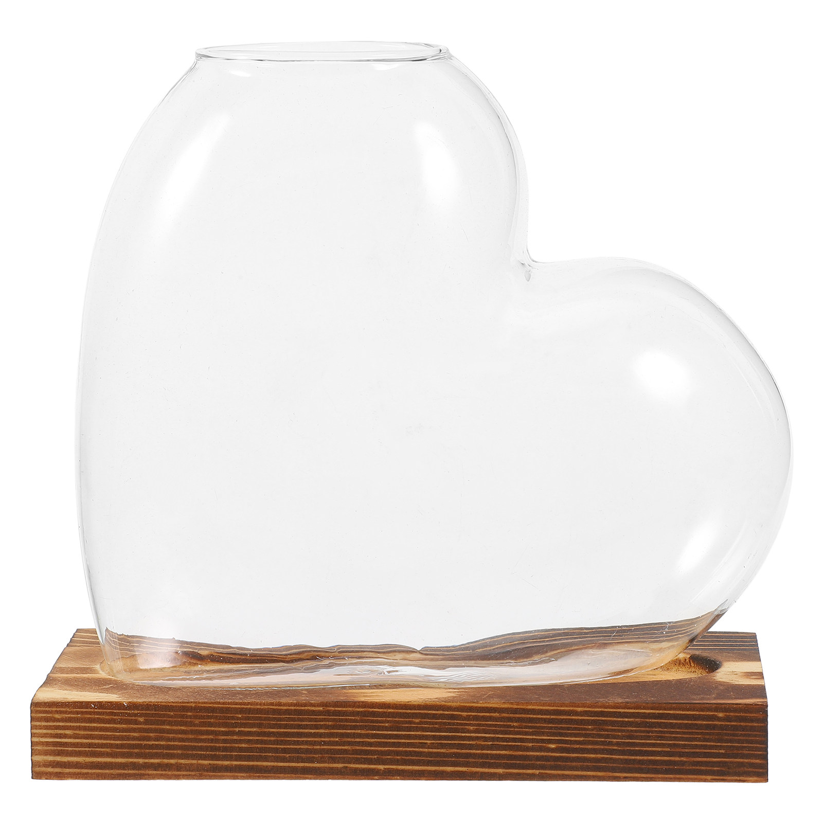 Hydroponic Glass Vase Transpar - Propagation Station Vase 评论和价格