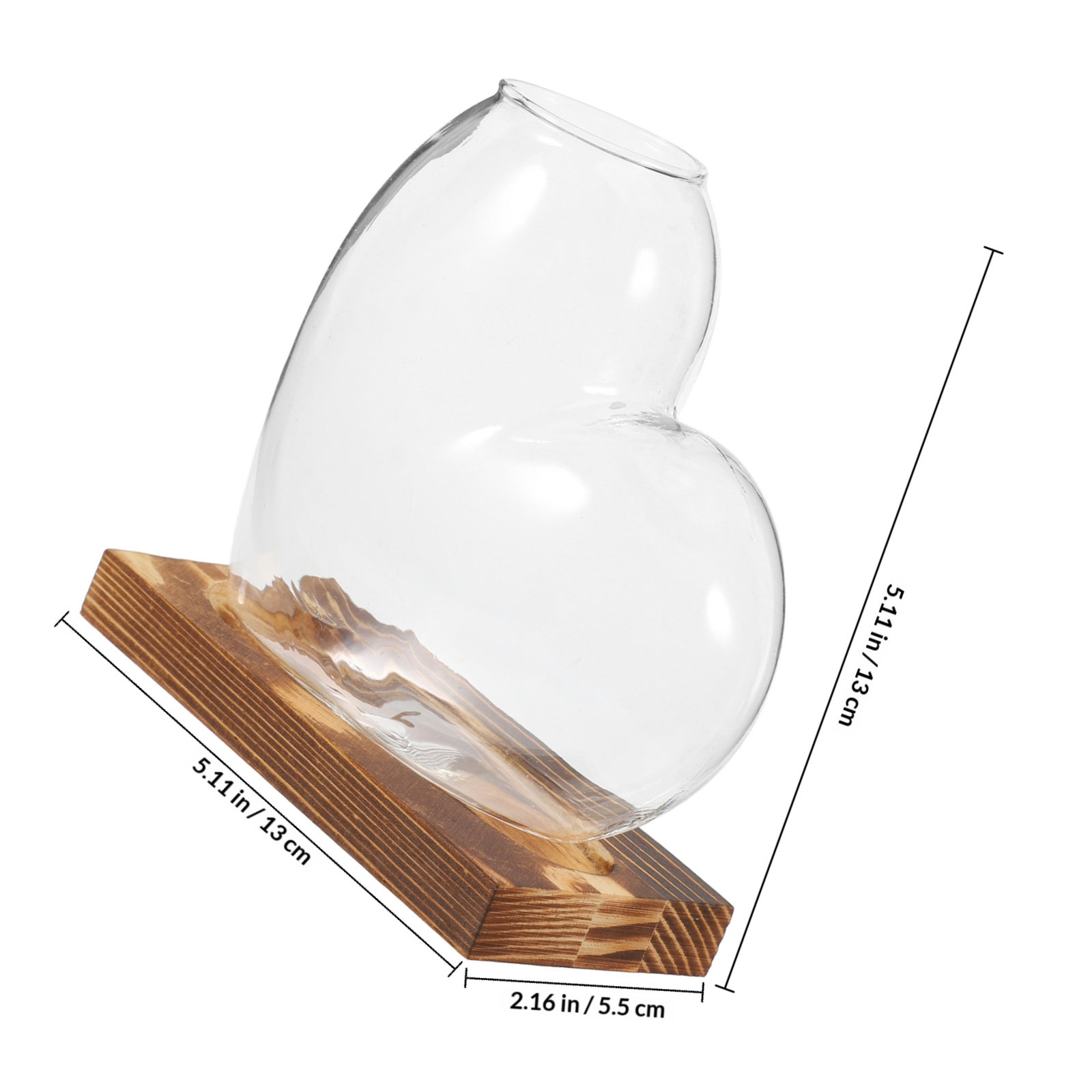 Hydroponic Glass Vase Transpar - Propagation Station Vase 评论和价格