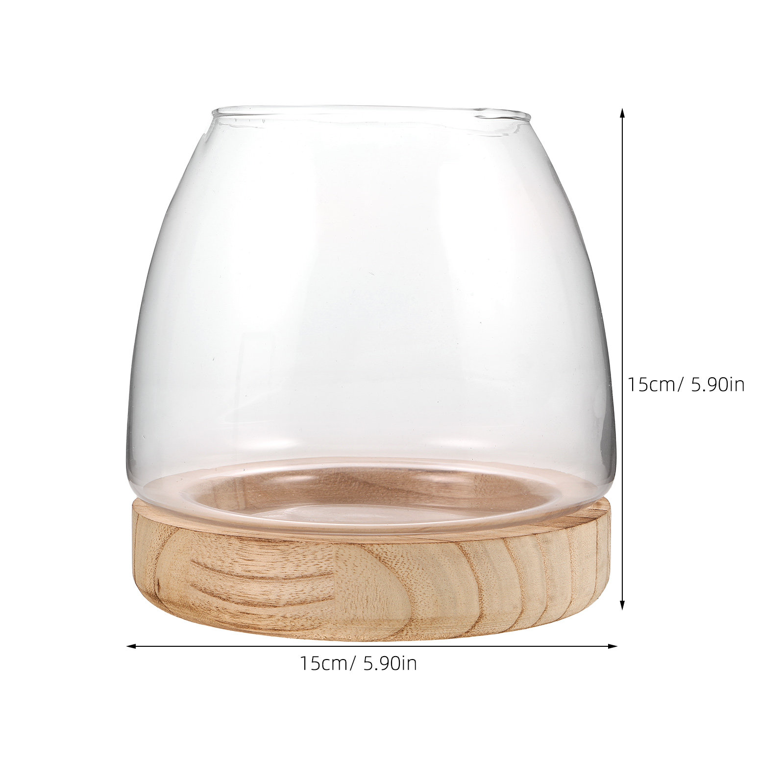 Hydroponic Plant Vase Small Gl - Propagation Station Vase 评论和价格