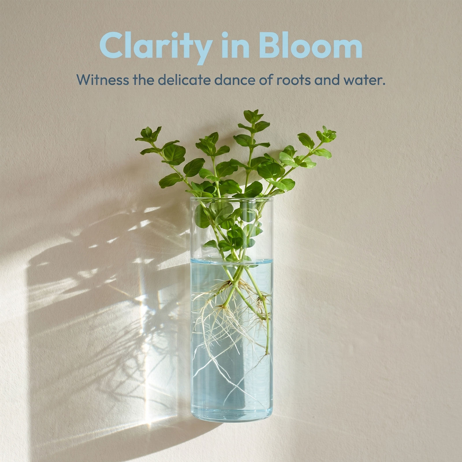 5Pcs Wall Planter Cylinder Gla - Propagation Station Vase 评论和价格
